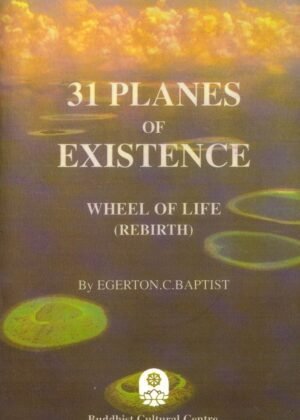 31 Planes Of Existence