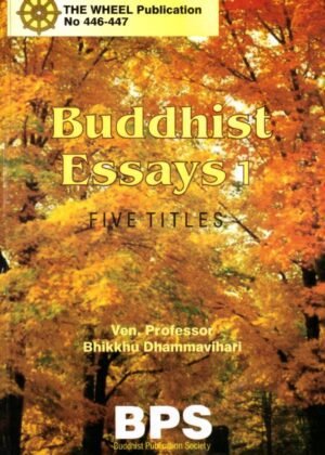 Buddihst Essays