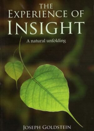 The Experience Of Insight A Natural Unfolding