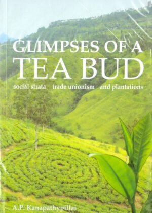 Glimps Of A Tea Bud