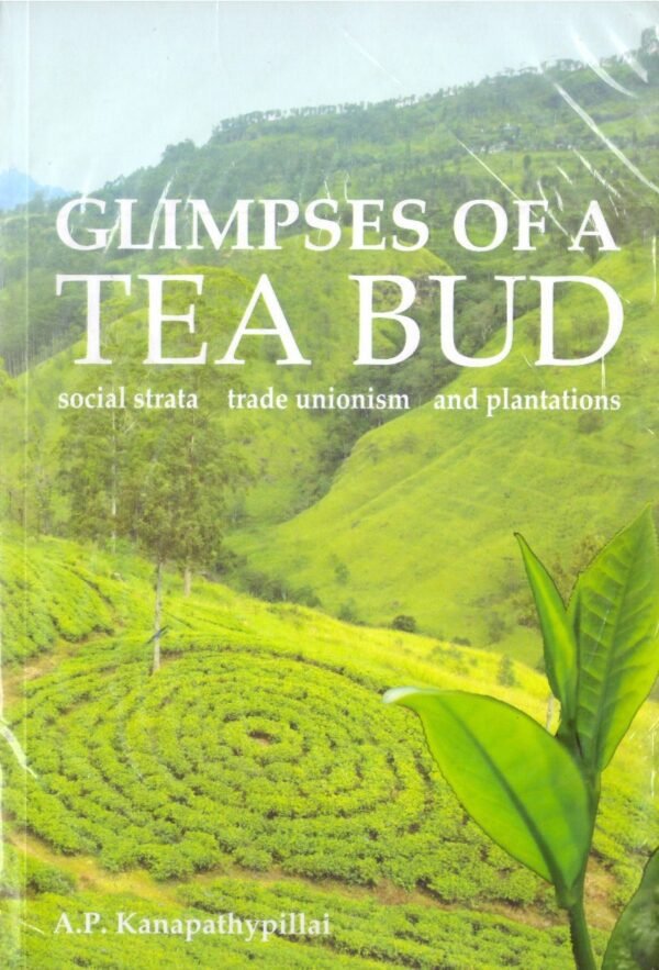 Glimps Of A Tea Bud