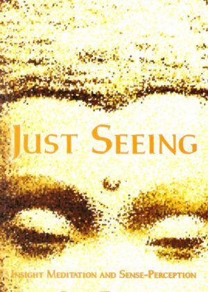 Just Seeing: Insight Meditation