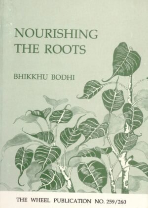 Nourishing The Roots