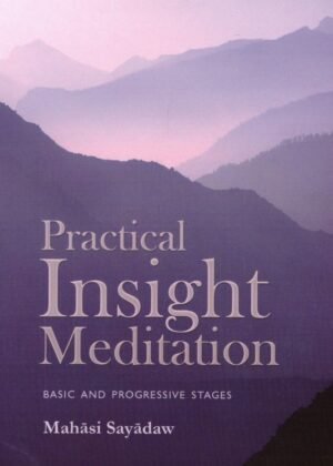 Practical Insight Meditation Basic And Progressive Stages
