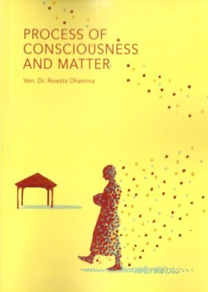 Process Of Consciousness And Matter