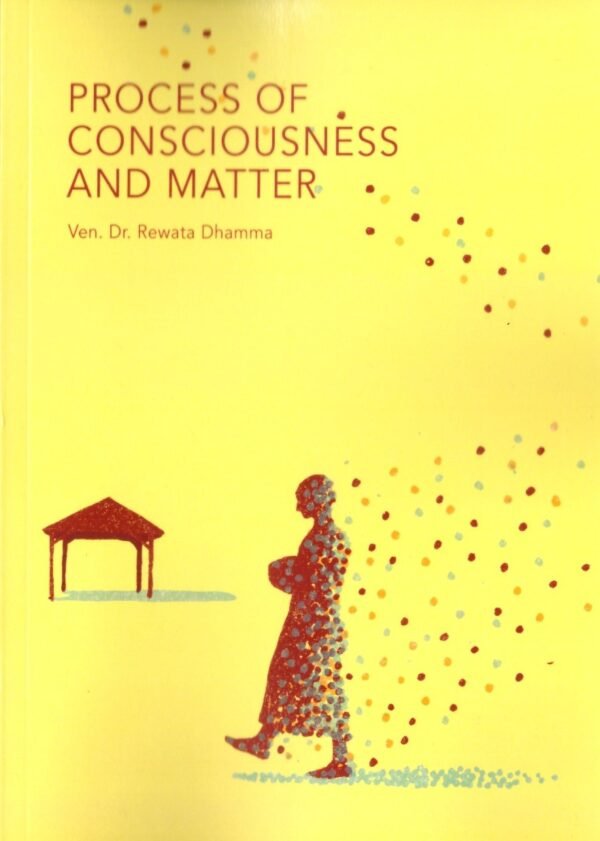 Process Of Consciousness And Matter