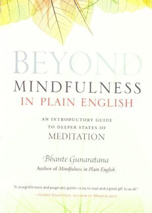 Beyond Mindfulness in Plain English. An Introductory Guide t