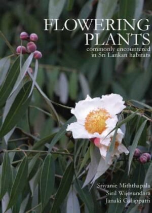 Flowering Plants commonly encountered in Sri Lankan habitats