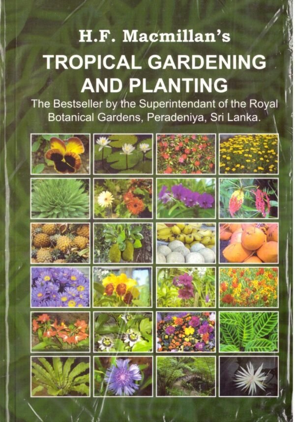 Tropical Gardening And Planting