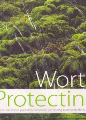 Worth Protecting