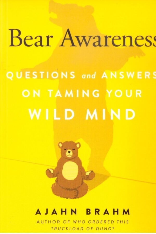 Bear Awareness Questions And Answers On Taming Your Wild Mind