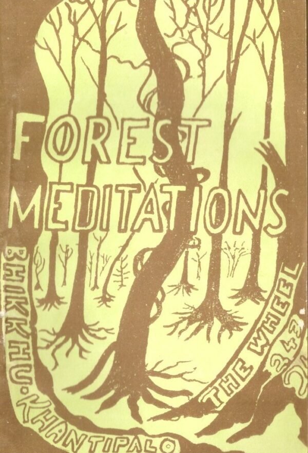 Forest Meditation