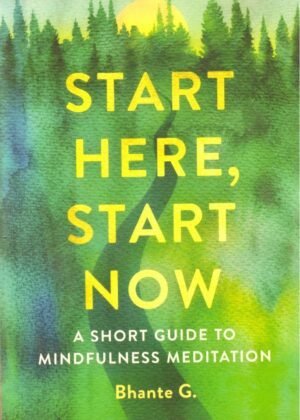 Start Here Start Now