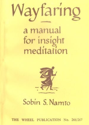 Wayfaring A Manual For Insight Meditation
