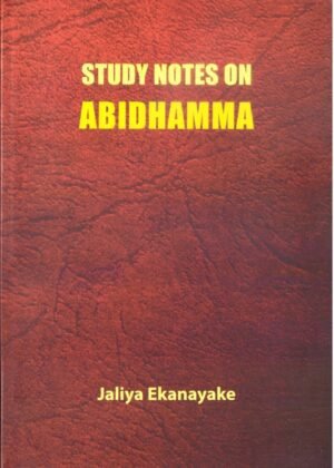 Study notes on abidhamma
