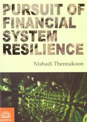 Pursuit of Financial System Resilience