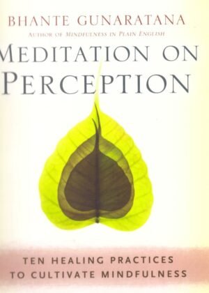 Meditation On Perception