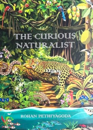 The Curious Naturalist