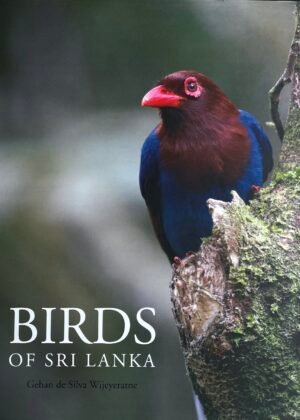 Birds of Sri Lanka
