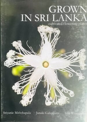 Grown in Sri Lanka